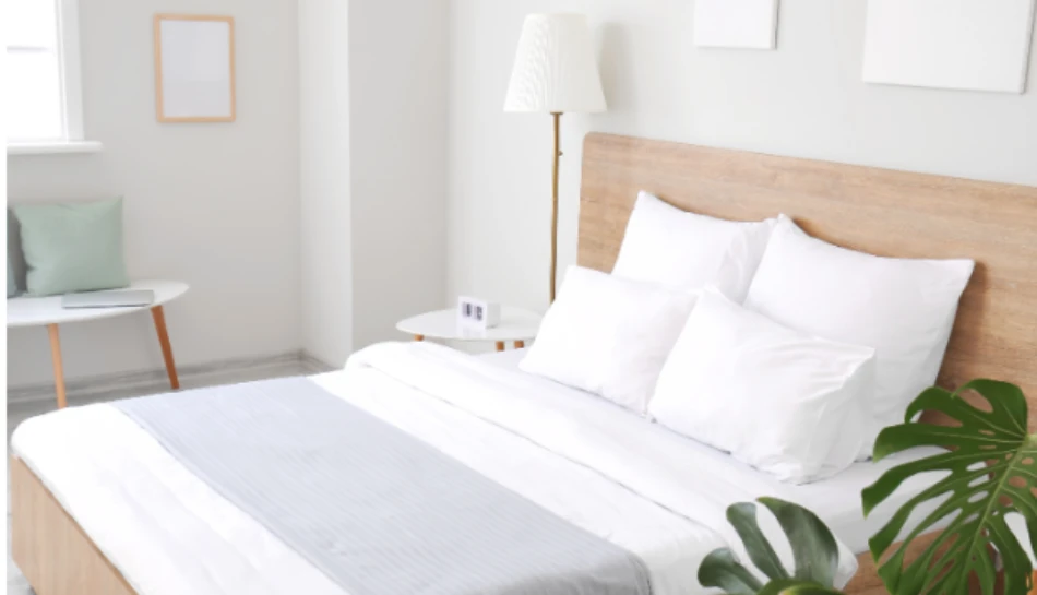 Top Hotels Near Arrowhead Stadium in Kansas City Offering Shuttle Service
